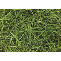 Readigrass 15kg