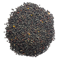 Black Rape Seed 20kg