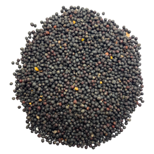 Black Rape Seed 20kg