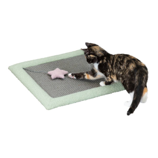 Junior Cat Scratching Mat 47x47cm Grey/Mint 44437