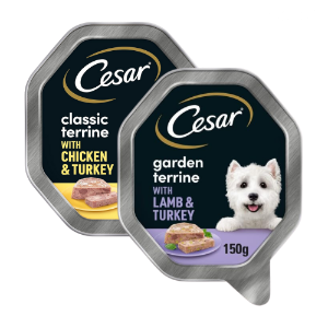 Cesar Classic Tray 14 x 150g