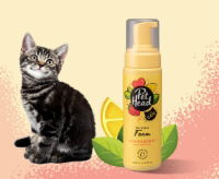 Pet Head Felin' Good Foam 200ml