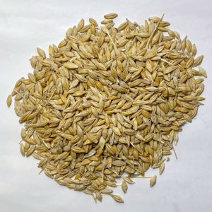 Copdock Mill Whole Barley 25kg