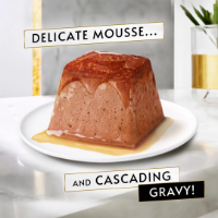 Gourmet Revelations Mousse Tuna gravy 6 x 4 x 57g