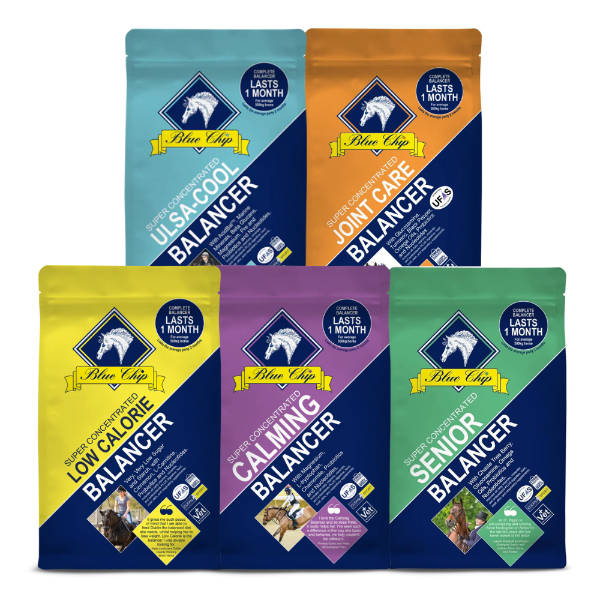 Blue Chip Super Concentrate Balancer Range 3kg Bags