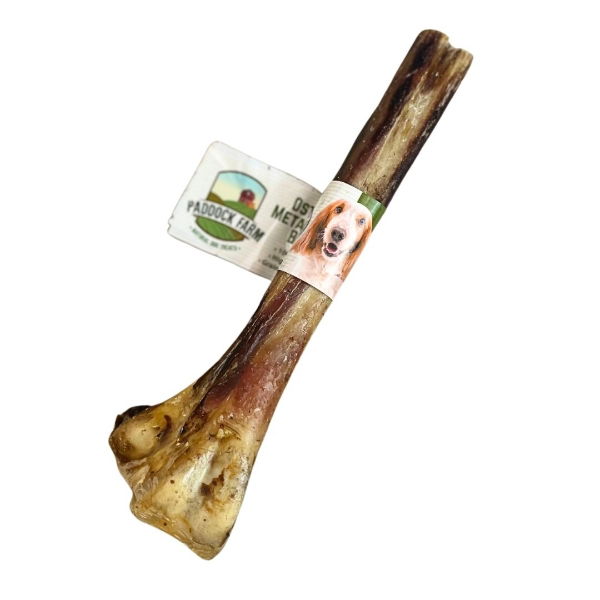 Nova Ostrich Metatarsus Bones x 5