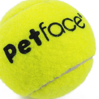 Pet Face Tennis Balls 12pk