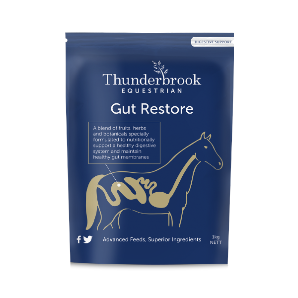 Thunderbrook Gut Restore 1kg