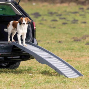 Dog Car Accessories