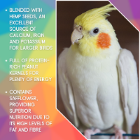 SkyGold Large Cockatiel & Parakeet 20kg