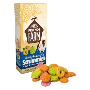 Gerty Guinea Pig Scrummies 8 x 80gm