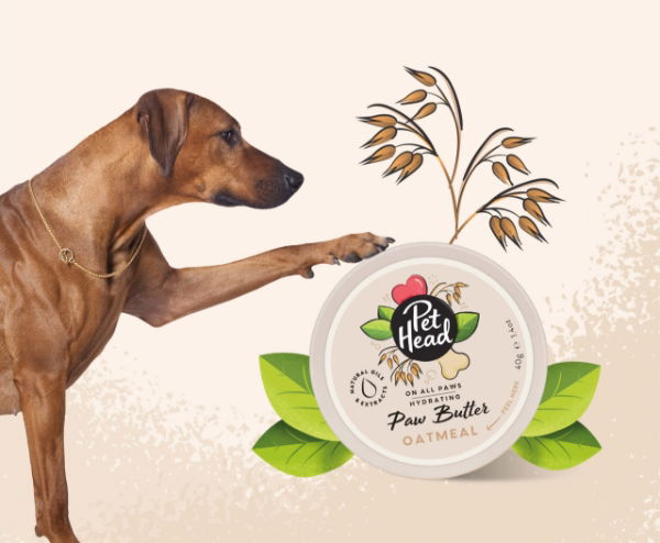 Pet Head On All Paws Paw Butter 40g