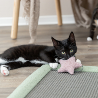 Junior Cat Scratching Mat 47x47cm Grey/Mint 44437