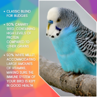 SkyGold Budgie 50/50 20Kg