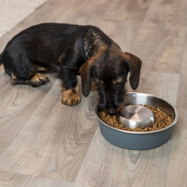 Slow Feed stainless steel bowl 1.4 l/21cm